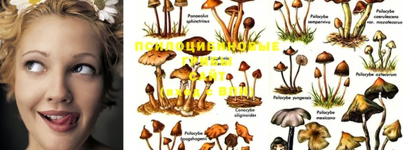 круглые Белоозёрский