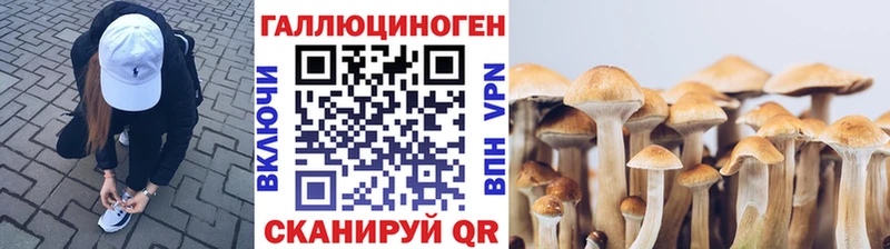 Псилоцибиновые грибы мухоморы  Ворсма 